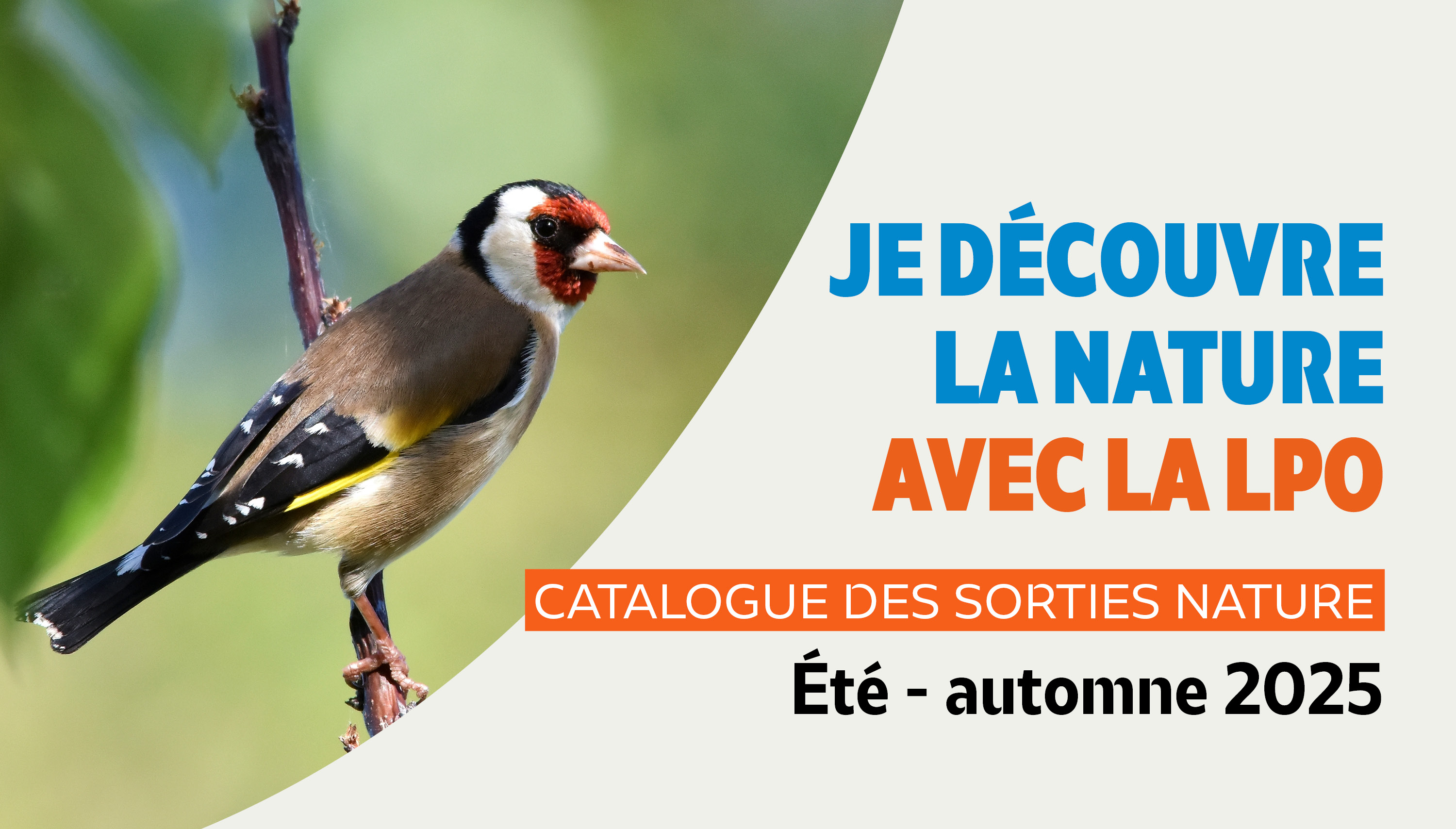 Catalogue des sorties : découvrez la nature à nos côtés !